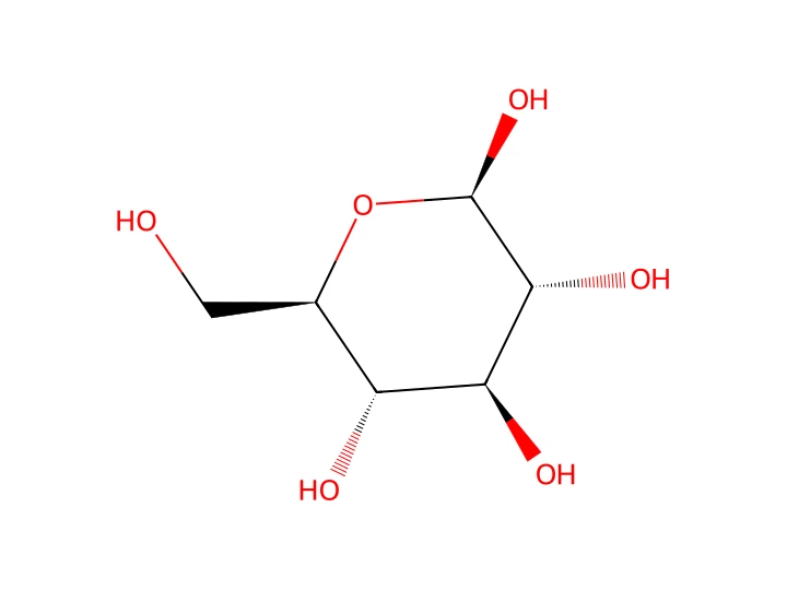 β-D-glucose sous forme pyranose (cycle à 6)